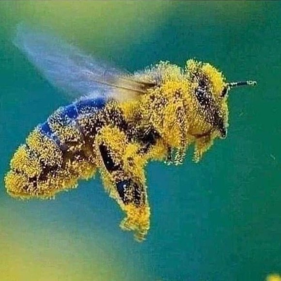 Meet your Posher, Lynne - Picture 1 of 1